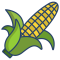 corn (1)